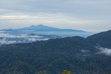Misty Mountain Landscape with Fog