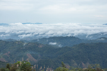 Scenic Mountain Landscape with Fog
