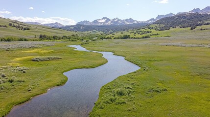 Serene mountain valley river flows through lush meadow. Aerial view. Possible stock photo use