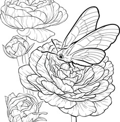 Realistic peony flowers and butterfly graphic sketch template. Spring season cartoon vector illustration in black and white for games, pattern, decor. Coloring paper, page, story book, print