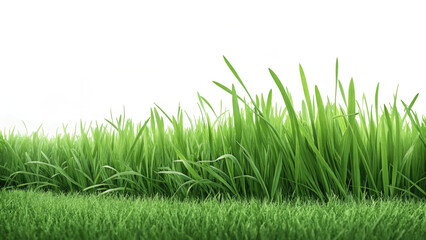 Obraz premium lush, vibrant green grass field stretches across image, set against clear white background, creating fresh and serene atmosphere