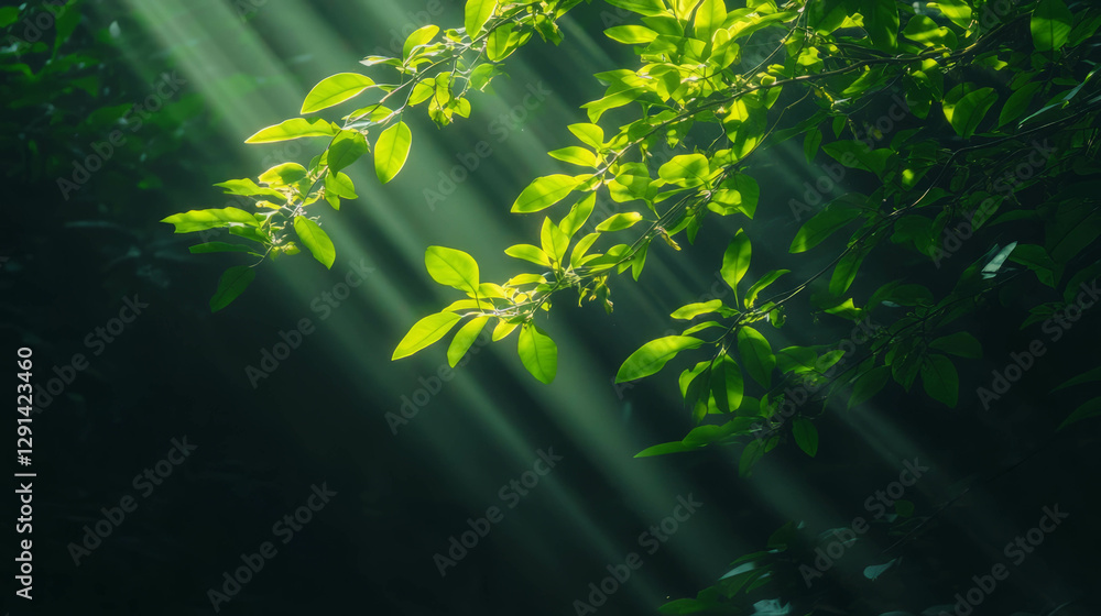Poster sunlight illuminating green leaves through dense foliage creating a serene and tranquil nature backg