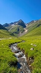 Fototapeta premium A mountain stream flows through a lush green meadow, blue sky, water, landscape