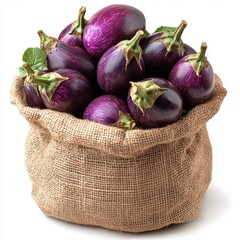 bag full eggplant isolated on white background 