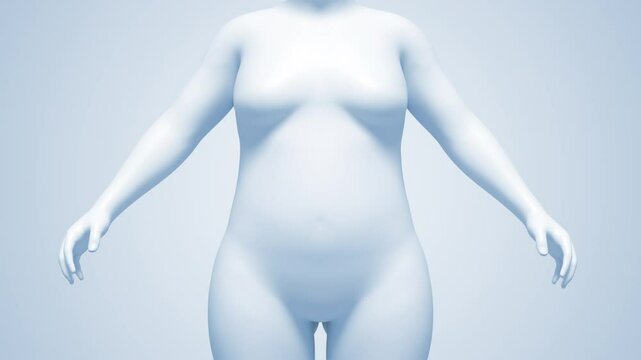 4K 3d rendered animation move camera white shade, Weight loss Comparison Woman Abdomen transition from fat to fit.