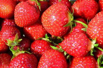 a close up of Fresh garden Strawberries