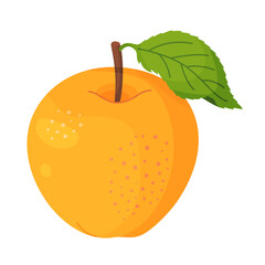 Yellow ripe apple with leaf, fresh garden fruit. Hand drawn food clipart. Whole fruit with green leaf, Flat style isolated on transparent background. Vector illustration