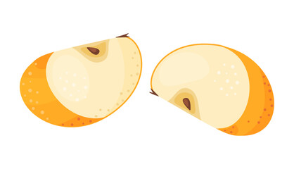 Ripe yellow apple slices, fresh garden fruit. Hand drawn food clipart. Slices of fresh yellow apple fruit, Flat style isolated on transparent background. Golden Delicious Vector illustration