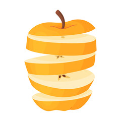 Chopped apple flies in the air. Yellow ripe half apple slices, fresh garden fruit. Hand drawn food clipart Slices of fresh fruit Flat style isolated on transparent background. Vector illustration