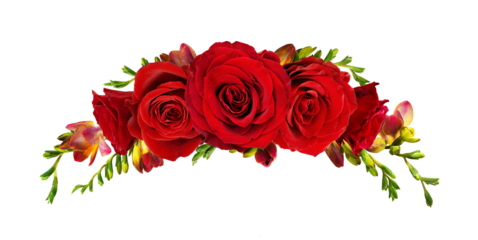 Velvet red rose flowers and freesias in a floral wreath isolated on white or transparent background