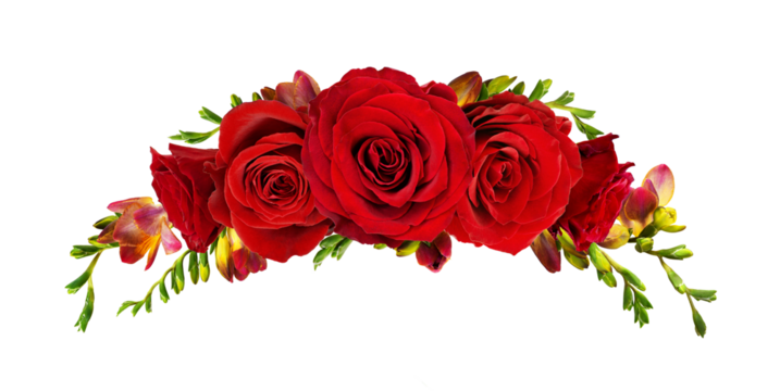 Velvet red rose flowers and freesias in a floral wreath isolated on white or transparent background