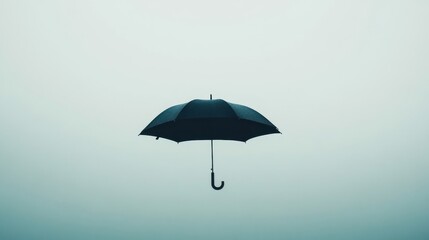 Obraz premium A black umbrella floats suspended in a muted background landscape