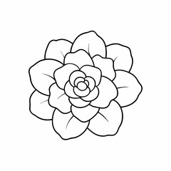 hand drawn flower