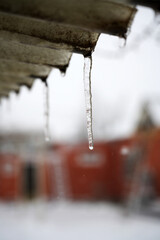 Icicles hanging from a roof, close-up. Winter weather with melting icicles.