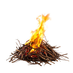 Naklejka premium Fire Flame Igniting from Dry Twigs Isolated on Transparent Background