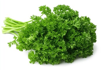 Fototapeta premium A parsley bunch with curly green leaves, isolated