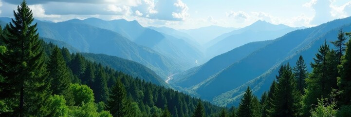 Dense forest in the heart of the Blue Mountains, landscape, wildlife, mountains