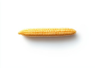 Fresh Yellow Corn Cob Isolated