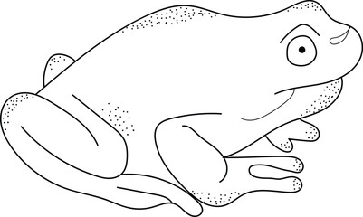 vector illustration of cartoon frog
