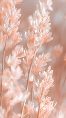 Naklejka premium Close-up of delicate, pastel peach-pink and gold flowers, with warm light 