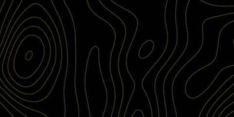 World Map Vintage Old-Style. Business concept. Fish Fillet Texture, Salmon fillet texture, fish pattern. Topographic map lines, contour background. Transparent PNG available. retro, patterns, Outline.