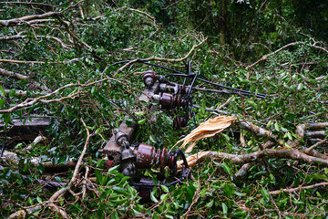 Heavy rain and strong winds caused large trees to fall and block traffic.