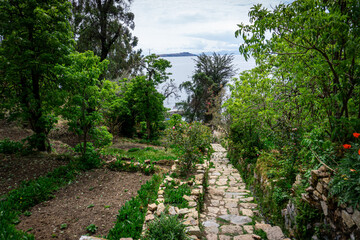 Fototapeta premium Inca Stairway on Isla del Sol Lake Titicaca Bolivia Pre-Columbian Stone Path Leading to Sacred Sites in a Scenic Andean Setting