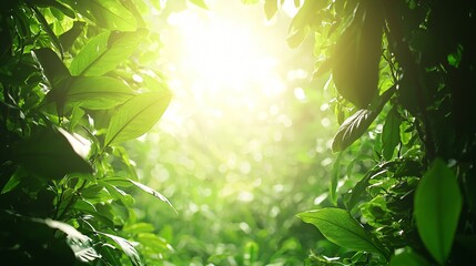 Obraz premium Sunlit Lush Greenery, Tropical Plantation, Background Bokeh, Nature