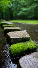 Tranquil Stepping Stones Across Mossy Stream Nature Landscape Serene Environment Close-up View Peaceful Concept