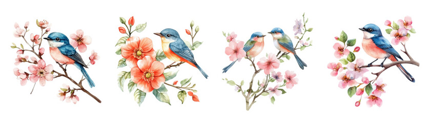 Watercolor set of spring birds sitting on a branch of a flowering tree. Spring birds. Concept of spring, awakening of nature. Elements for spring designs. Vector illustration.