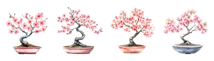Watercolor set of bonsai elements with blooming sakura. Japanese bonsai with pink sakura in a pot. Japanese elements. Traditional Japanese interior design nature plant. © Narin