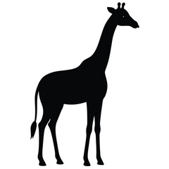 Obraz premium Giraffe shilhouette,vector black color silhouette on a white background