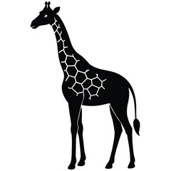 Naklejka premium Giraffe shilhouette,vector black color silhouette on a white background