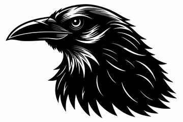 Detailed Raven Head Illustration – Black and White Woodcut Style Close-Up with Sharp Beak and Intense Eye