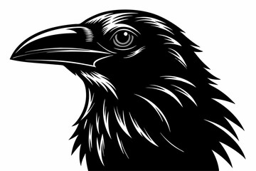 Detailed Raven Head Illustration – Black and White Woodcut Style Close-Up with Sharp Beak and Intense Eye