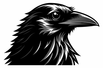 Detailed Raven Head Illustration – Black and White Woodcut Style Close-Up with Sharp Beak and Intense Eye