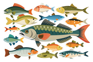 Naklejka premium Vector illustration of different types of Freshwater Fish Collection: A Vector Guide to Popular Species