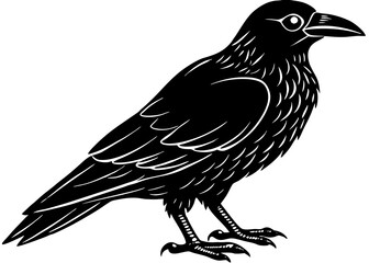 Stylized Black Raven Illustration with Detailed Silhouette and Sharp Beak