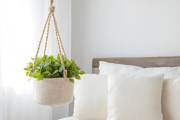 A hanging macrame planter with a lush pothos plant, contrasting beautifully with a white minimalist wall and subtle wood accents