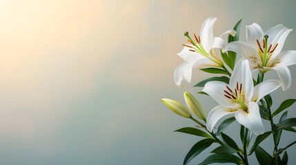 Naklejka premium Elegant white lilies decorating the edges with soft romantic golden sunlight illuminating the background A serene and peaceful floral scene perfect for design decor or natural beauty concepts