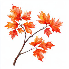 Fototapeta premium vibrant maple branch with fiery red leaves showcases beauty of autumn. hand painted details highlight intricate textures and colors of leaves, evoking warm, seasonal feeling