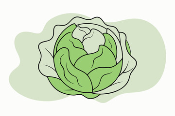 Minimalist Line Drawing of Brussels Sprout