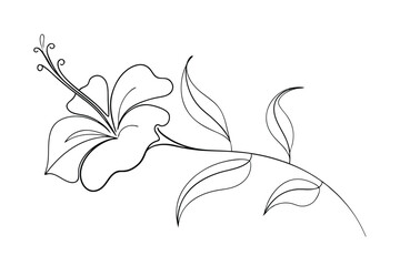 Elegant Line Art Drawing of a Hibiscus Flower and Leaves © kajallata