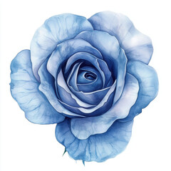 beautiful indigo watercolor rose with delicate petals and intricate details, showcasing mystical and serene aesthetic. This floral artwork captures essence of nature elegance