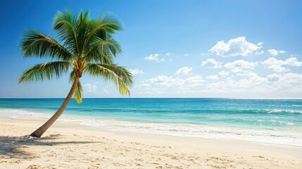 Fototapeta premium Tropical Paradise Lone Palm Tree on a Pristine Beach.