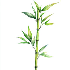 Fototapeta premium slender bamboo stalk with fresh green leaves, symbolizing growth and tranquility. This vibrant plant adds touch of nature to any setting, enhancing atmosphere
