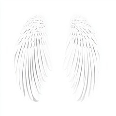 Elegant White Angel Wings Isolated on a Clean Background