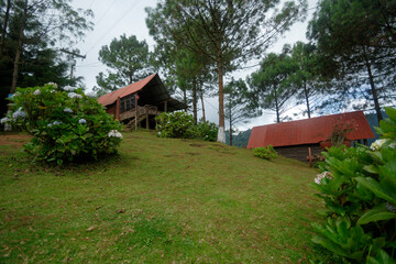 old house in the woods
