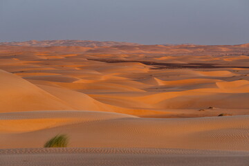 West Africa. Mauritania. Panoramic view of the endless waves of sand dunes on the southwestern edge of the Sahara Desert.