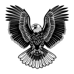 Obraz premium Majestic bald eagle bird with spreading wings, feather and sharp talons in black and white for conveying strength, freedom, and wildlife themes